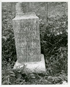 Image description is not available for PHO-4-W689-257